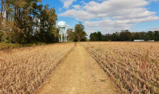Photo of SOLD!!  58 Acres of Farm Land For Sale in Craven County NC!