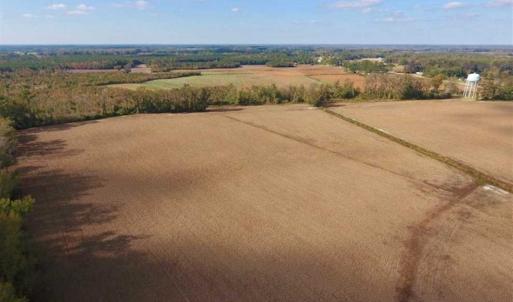 Photo of SOLD!!  58 Acres of Farm Land For Sale in Craven County NC!