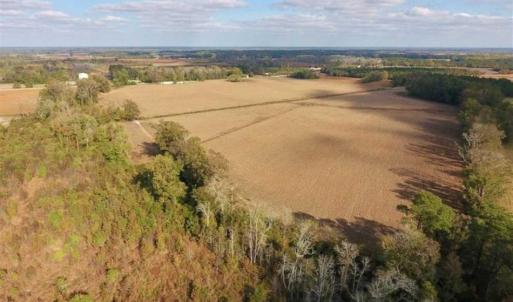 Photo of SOLD!!  58 Acres of Farm Land For Sale in Craven County NC!
