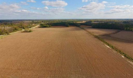 Photo of SOLD!!  58 Acres of Farm Land For Sale in Craven County NC!