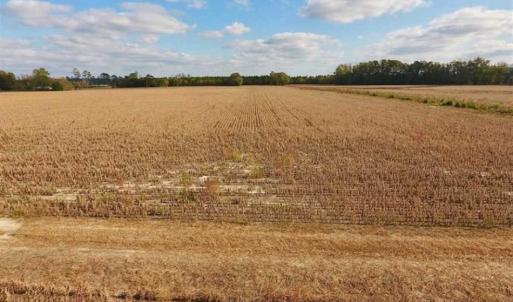 Photo of SOLD!!  58 Acres of Farm Land For Sale in Craven County NC!