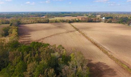 Photo of SOLD!!  58 Acres of Farm Land For Sale in Craven County NC!