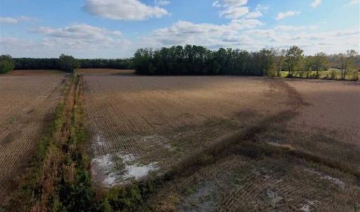 Photo of SOLD!!  58 Acres of Farm Land For Sale in Craven County NC!