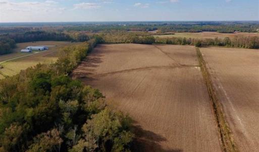 Photo of SOLD!!  58 Acres of Farm Land For Sale in Craven County NC!