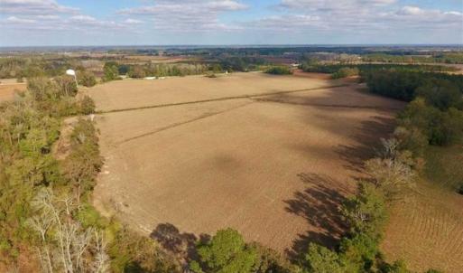 Photo of SOLD!!  58 Acres of Farm Land For Sale in Craven County NC!