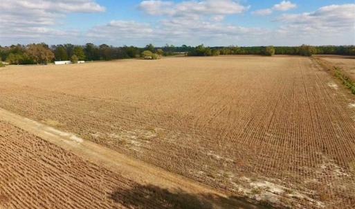 Photo of SOLD!!  58 Acres of Farm Land For Sale in Craven County NC!