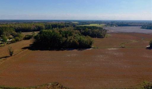 Photo of UNDER CONTRACT!!  22.18 Acres of Farm and Timber Land For Sale in Craven County NC!