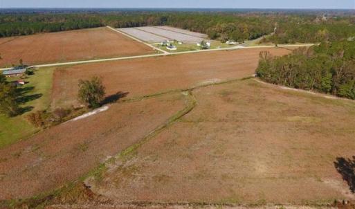 Photo of UNDER CONTRACT!!  22.18 Acres of Farm and Timber Land For Sale in Craven County NC!