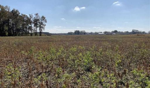 Photo of UNDER CONTRACT!!  22.18 Acres of Farm and Timber Land For Sale in Craven County NC!