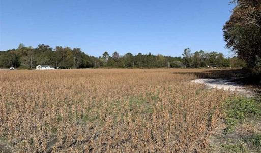 Photo of UNDER CONTRACT!!  22.18 Acres of Farm and Timber Land For Sale in Craven County NC!
