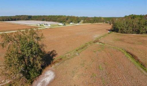 Photo of UNDER CONTRACT!!  22.18 Acres of Farm and Timber Land For Sale in Craven County NC!