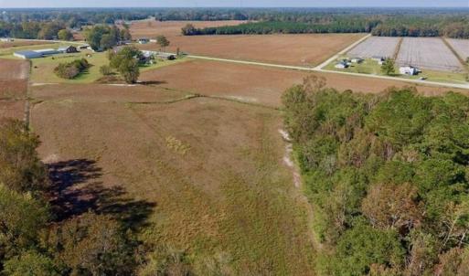Photo of UNDER CONTRACT!!  22.18 Acres of Farm and Timber Land For Sale in Craven County NC!