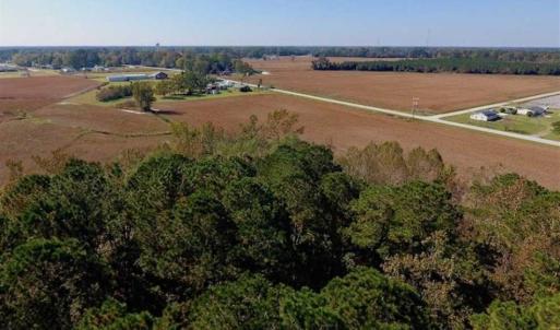 Photo of UNDER CONTRACT!!  22.18 Acres of Farm and Timber Land For Sale in Craven County NC!