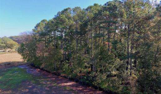 Photo of UNDER CONTRACT!!  22.18 Acres of Farm and Timber Land For Sale in Craven County NC!