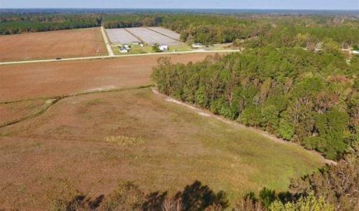 Photo of UNDER CONTRACT!!  22.18 Acres of Farm and Timber Land For Sale in Craven County NC!