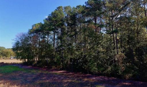 Photo of UNDER CONTRACT!!  22.18 Acres of Farm and Timber Land For Sale in Craven County NC!