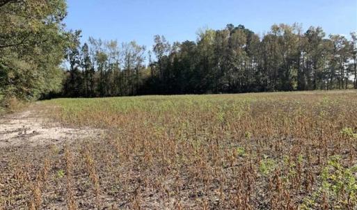 Photo of UNDER CONTRACT!!  22.18 Acres of Farm and Timber Land For Sale in Craven County NC!