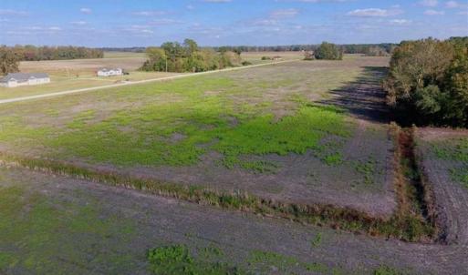 Photo of 23.52 Acres of Farm Land For Sale in Craven County NC!