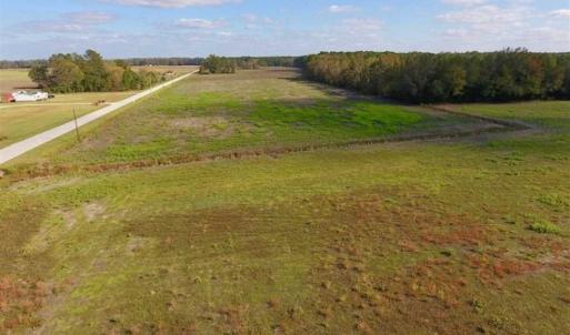 Photo of 23.52 Acres of Farm Land For Sale in Craven County NC!