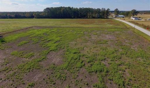 Photo of 23.52 Acres of Farm Land For Sale in Craven County NC!