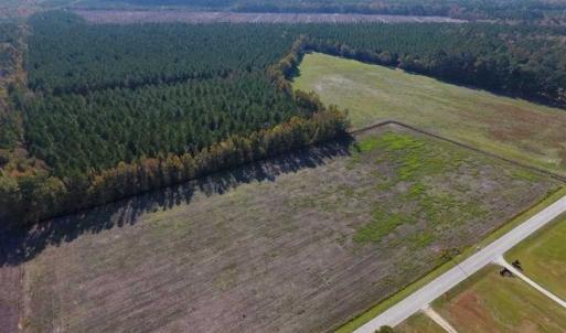 Photo of 23.52 Acres of Farm Land For Sale in Craven County NC!
