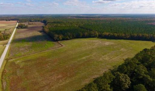 Photo of 23.52 Acres of Farm Land For Sale in Craven County NC!