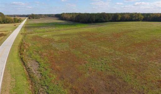 Photo of 23.52 Acres of Farm Land For Sale in Craven County NC!