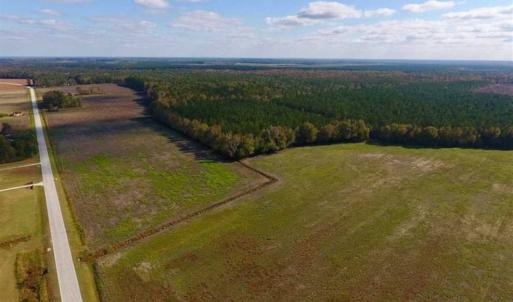 Photo of 23.52 Acres of Farm Land For Sale in Craven County NC!