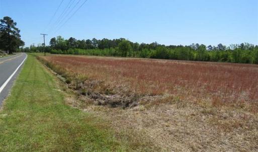 Photo of 127.86 ac of Farm, Hunting, and Timberland for Sale in Columbus County NC!