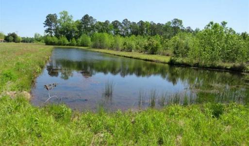 Photo of 127.86 ac of Farm, Hunting, and Timberland for Sale in Columbus County NC!