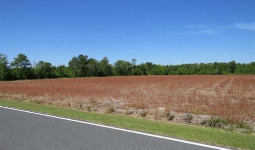 Photo of 127.86 ac of Farm, Hunting, and Timberland for Sale in Columbus County NC!