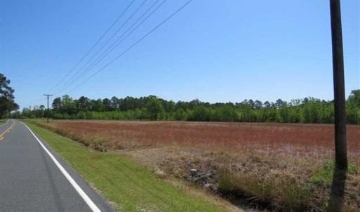 Photo of 127.86 ac of Farm, Hunting, and Timberland for Sale in Columbus County NC!