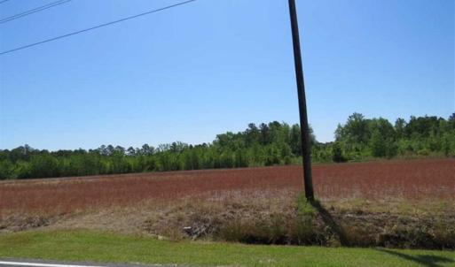Photo of 127.86 ac of Farm, Hunting, and Timberland for Sale in Columbus County NC!