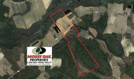 Photo of 127.86 ac of Farm, Hunting, and Timberland for Sale in Columbus County NC!