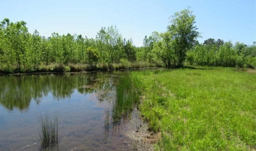 Photo of 127.86 ac of Farm, Hunting, and Timberland for Sale in Columbus County NC!