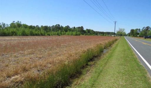 Photo of 127.86 ac of Farm, Hunting, and Timberland for Sale in Columbus County NC!