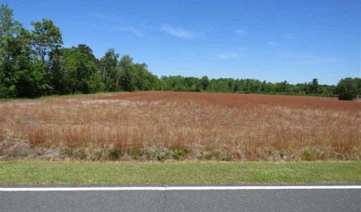 Photo of 127.86 ac of Farm, Hunting, and Timberland for Sale in Columbus County NC!