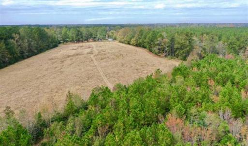 Photo of SOLD!!  39.63 Ac of Residential Farm and Timber Land for Sale in Columbus Co NC!