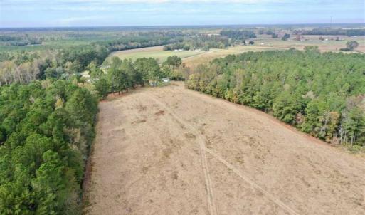 Photo of SOLD!!  39.63 Ac of Residential Farm and Timber Land for Sale in Columbus Co NC!