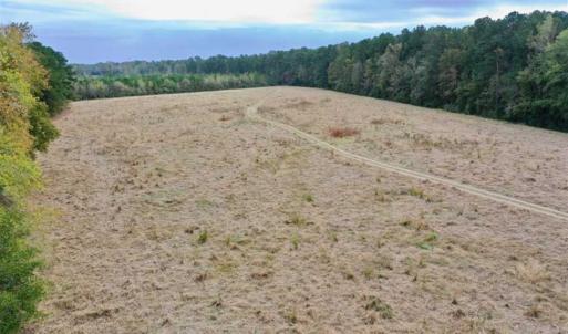 Photo of SOLD!!  39.63 Ac of Residential Farm and Timber Land for Sale in Columbus Co NC!