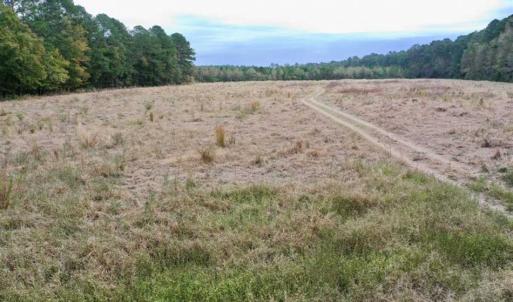 Photo of SOLD!!  39.63 Ac of Residential Farm and Timber Land for Sale in Columbus Co NC!