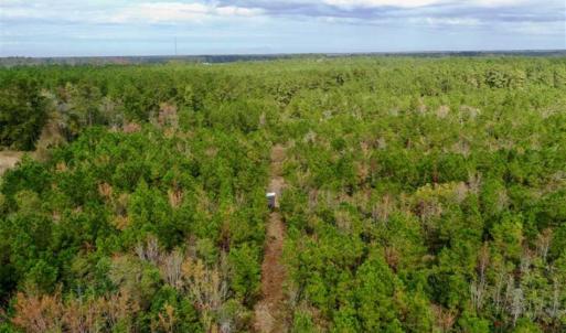 Photo of SOLD!!  39.63 Ac of Residential Farm and Timber Land for Sale in Columbus Co NC!