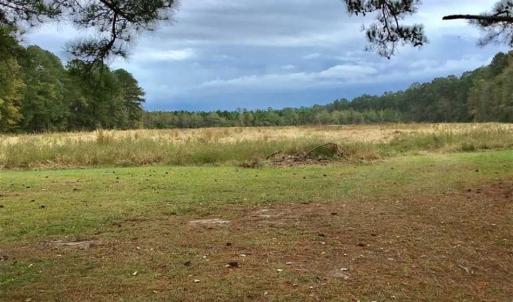 Photo of SOLD!!  39.63 Ac of Residential Farm and Timber Land for Sale in Columbus Co NC!