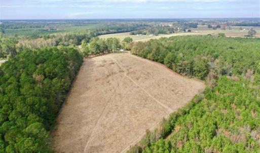 Photo of SOLD!!  39.63 Ac of Residential Farm and Timber Land for Sale in Columbus Co NC!