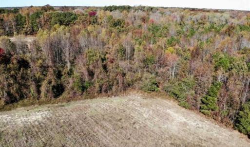 Photo of SOLD!!  25 Acres of Farm and Timber Land For Sale in Halifax County NC!