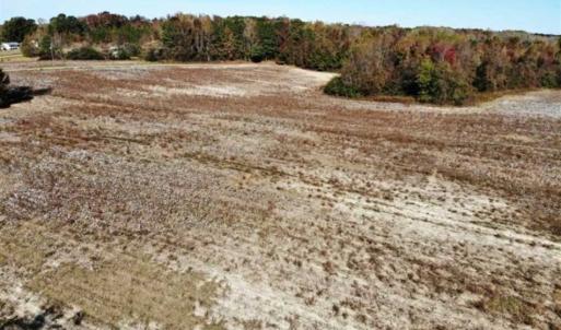 Photo of SOLD!!  25 Acres of Farm and Timber Land For Sale in Halifax County NC!