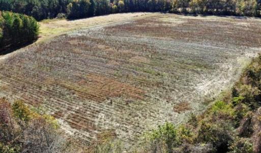 Photo of SOLD!!  25 Acres of Farm and Timber Land For Sale in Halifax County NC!