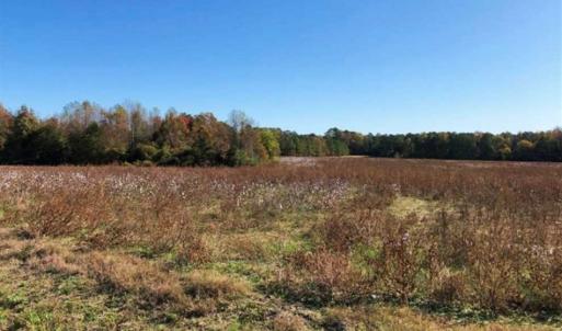 Photo of SOLD!!  25 Acres of Farm and Timber Land For Sale in Halifax County NC!