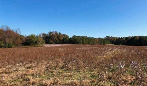 Photo of SOLD!!  25 Acres of Farm and Timber Land For Sale in Halifax County NC!