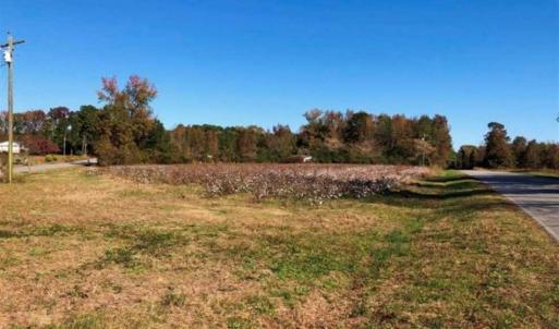 Photo of SOLD!!  25 Acres of Farm and Timber Land For Sale in Halifax County NC!